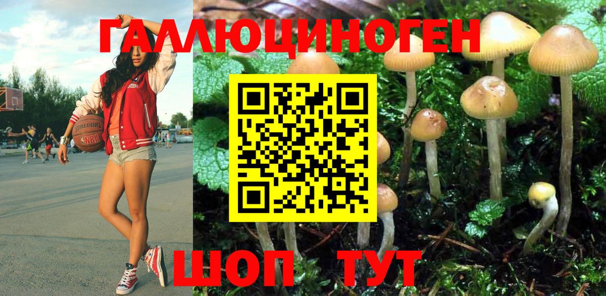 Псилоцибиновые грибы ЛСД Владимир