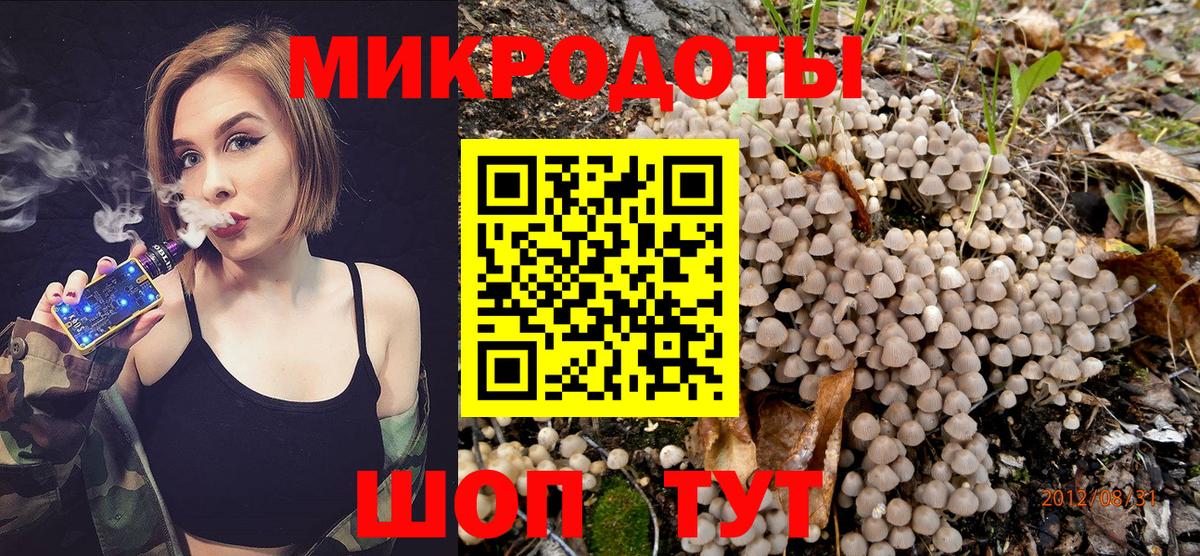 Псилоцибиновые грибы Psilocybe  Галлюциногенные грибы ЛСД  Владимир  Вход с VPN 